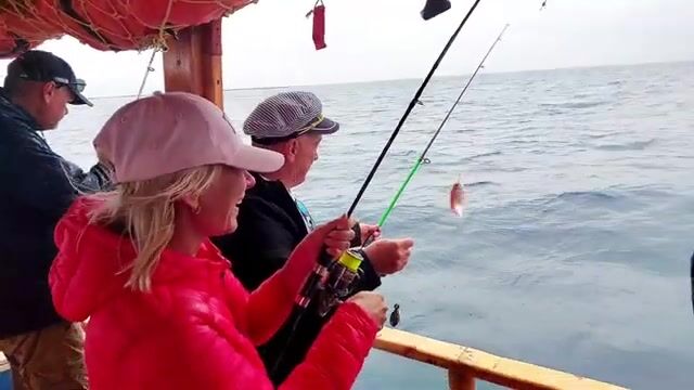 Сколько удалось поймать на прогулочном катере - морская рыбалка в Мерсине