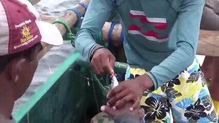 Додандува, малый борт и тунец - рыбалка на Шри-Ланке в океане