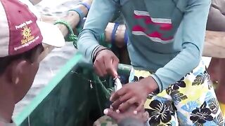 Додандува, малый борт и тунец - рыбалка на Шри-Ланке в океане