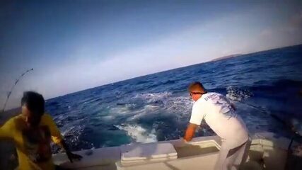 Марлин, ваху и желтоперый тунец - морская рыбалка на Арубе