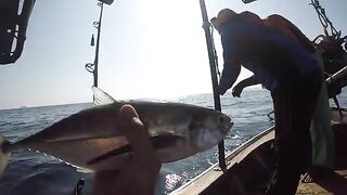 Ко Джум, Андаман и tuna BBQ - морская рыбалка в Таиланде