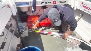 Мечение акулы и рыбалка в Англии в Соленте