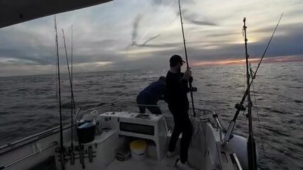 Прилив, reef/wreck точки и рыбалка в Англии на сутки
