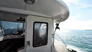 Прилив, reef/wreck точки и рыбалка в Англии на сутки