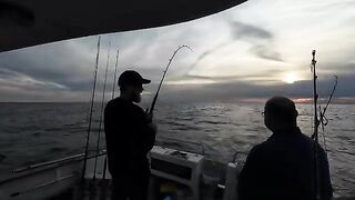 Прилив, reef/wreck точки и рыбалка в Англии на сутки