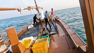 Рыбалка в Катаре с лодки в открытом море