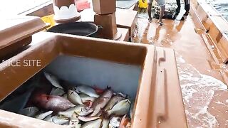 Рыбалка в Катаре с лодки в открытом море