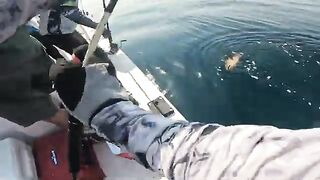 Полный день рыбалки с кастингом и джиггингом в Абу-Даби