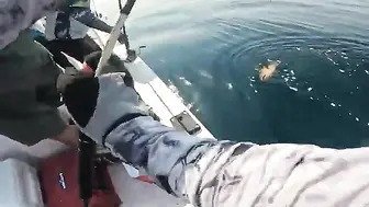 Полный день рыбалки с кастингом и джиггингом в Абу-Даби