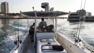 Крупный групер после живца из тревалли на рыбалке в Абу-Даби
