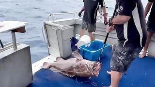 На лодке в Корал-Бэй: рабочая рыбалка без пауз