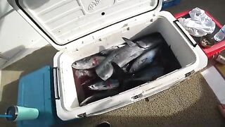 Снасть и морская рыбалка на Пхукете