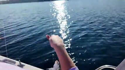 Кальмар в Чешме на морской рыбалке с катера