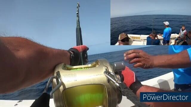 Кавалер на Гран-Канарии: рыбалка с лодки на короткий заход