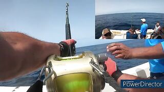 Кавалер на Гран-Канарии: рыбалка с лодки на короткий заход