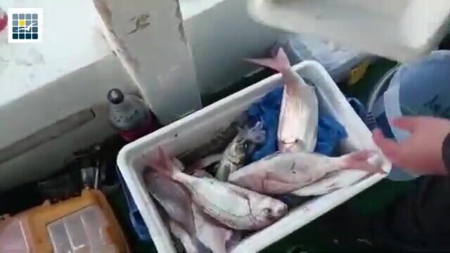 Рыбалка с лодки в Кушадасы