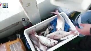 Рыбалка с лодки в Кушадасы