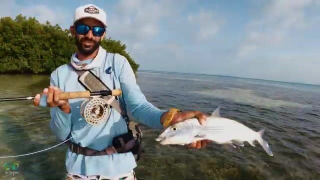 Короткий лодочный выход: морская рыбалка в Лос-Рокес