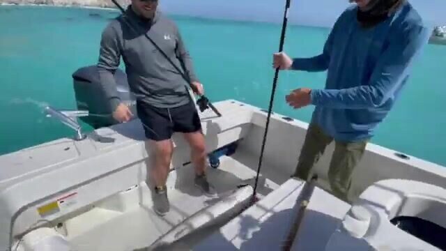 Морская рыбалка на Калиане с лодки: белый морской окунь
