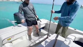 Морская рыбалка на Калиане с лодки: белый морской окунь