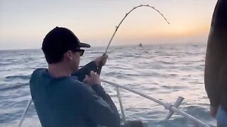 Морская рыбалка на Калиане с лодки: белый морской окунь