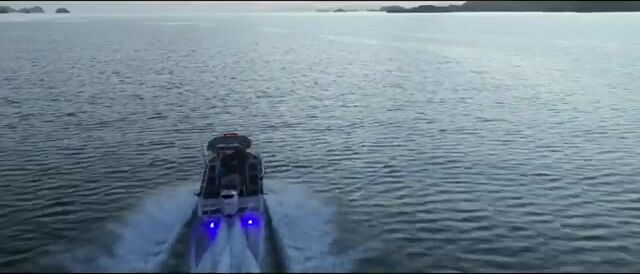 Выход на голубого тунца с Powercat в Заливе Островов