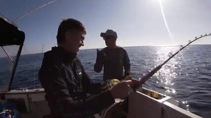Vlog #3: катерный выход в Bay of Islands