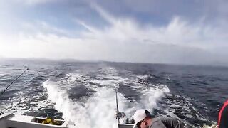 Vlog #3: катерный выход в Bay of Islands