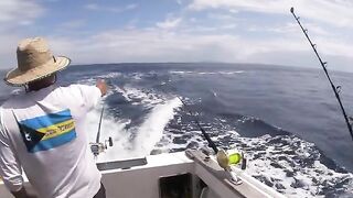 Vlog #3: катерный выход в Bay of Islands