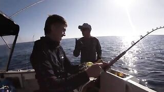Vlog #3: катерный выход в Bay of Islands