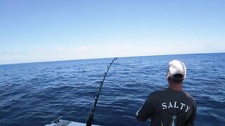 Vlog #3: катерный выход в Bay of Islands