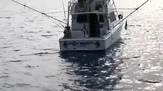 Марлин с лодки в Австралии: выход на рыбалку
