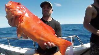 Кэрнс и Большой Барьерный риф: выход на морскую рыбалку с лодки
