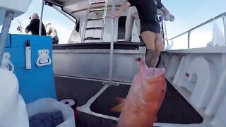 Кэрнс и Большой Барьерный риф: выход на морскую рыбалку с лодки