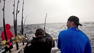 Тунец с лодки под Кейптауном: от Seal Island к глубине