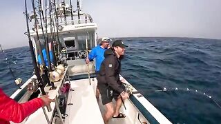 Тунец с лодки под Кейптауном: от Seal Island к глубине