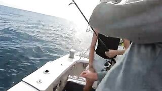 Вылет на морскую рыбалку в Кэрнсе: переход между точками