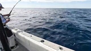 Красный группер и снэппер в офшоре: 12-часовой чартер в Дестине