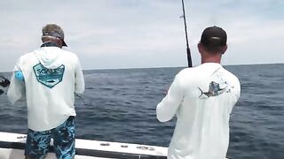 Кобии, снэппер и проводка у Гальвестона: рыбалка с катера