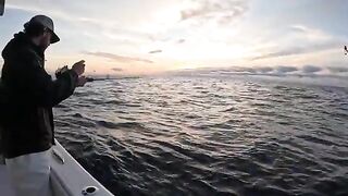 Катамаранный выход в Дестине: от deep dropping к рыбалке на тунец