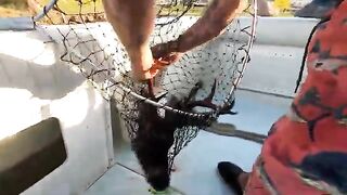 Рыбалка с катера в Галвестоне на красноперку и камбалу