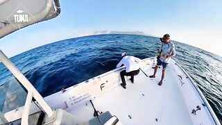 Попперная рыбалка на COW YFT с AB Charters у Халанията