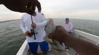 На катере с Get Hooked: камбала и сомы с рыбалки у Галвестона