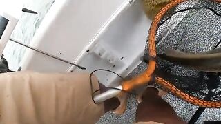 На катере с Get Hooked: камбала и сомы с рыбалки у Галвестона