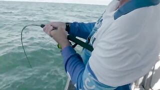 Сюрприз для Dairy Farmer на рыбалке с катера у Дарвина