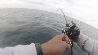 Sea Ranger у Кота-Кинабалу с удилищем у борта