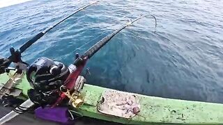 Четыре дня морской рыбалки на Seatar 1 у Кота-Кинабалу