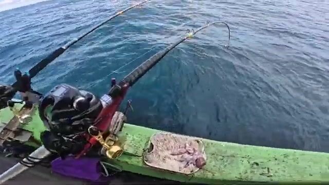 Четыре дня морской рыбалки на Seatar 1 у Кота-Кинабалу