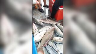 Рыбалка в Малайзии с борта Kinabalu Catarina