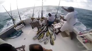 Около 17 дорадо на выходе из Гранд-Бе